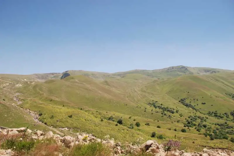 Hertüs Yaylası