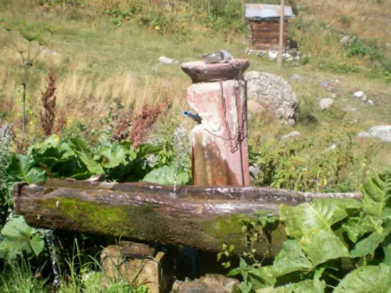 Artvin Çiçekleri 2