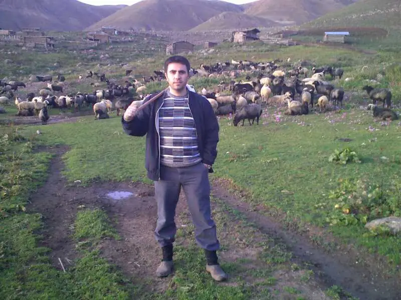 Hertüs Yaylası