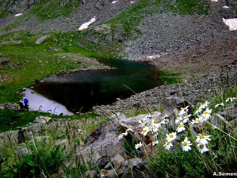Artvin Çiçekleri 2