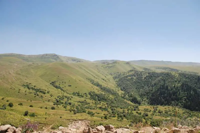 Hertüs Yaylası