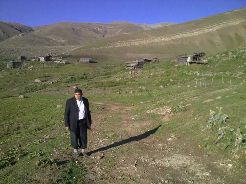 Hertüs Yaylası
