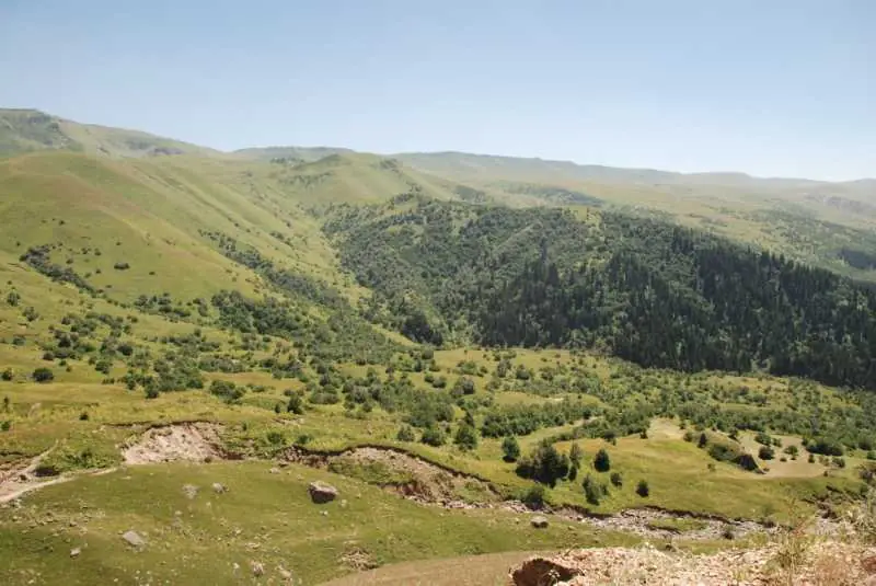 Hertüs Yaylası