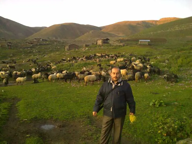 Hertüs Yaylası