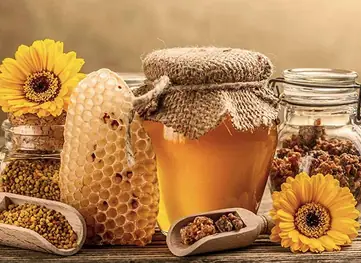 Kaşıkta süzülen koyu renkli Artvin kestane balı