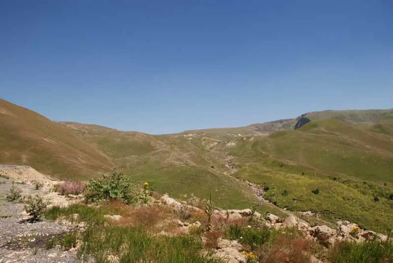 Hertüs Yaylası