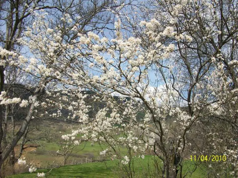 Konaklı Köyü Hertus