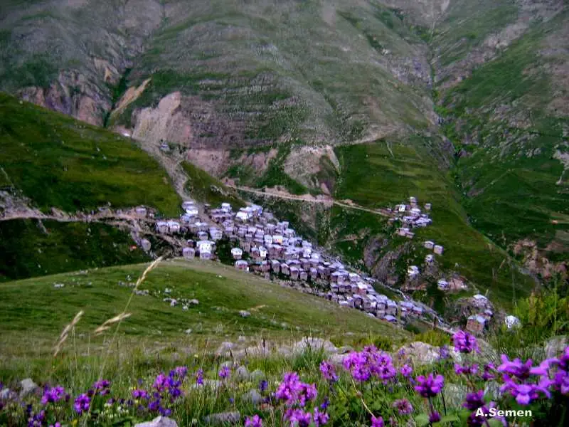 Artvin Çiçekleri 2