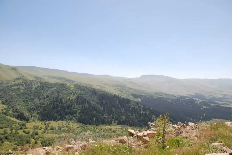 Hertüs Yaylası