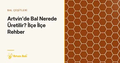 Artvin'de Bal Nerede Üretilir? İlçe İlçe Rehber