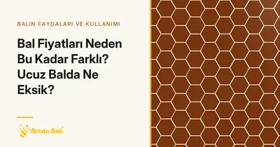 Bal Fiyatları Neden Bu Kadar Farklı? Ucuz Balda Ne Eksik?