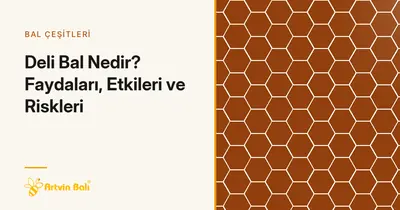 Deli Bal Nedir? Faydaları, Etkileri ve Riskleri
