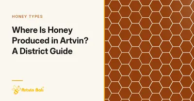 Where Is Honey Produced in Artvin? A District Guide