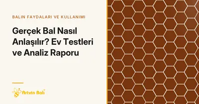Gerçek Bal Nasıl Anlaşılır? Ev Testleri ve Analiz Raporu