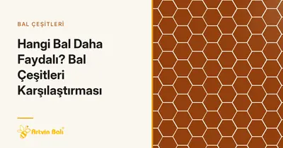 Hangi Bal Daha Faydalı? Bal Çeşitleri Karşılaştırması
