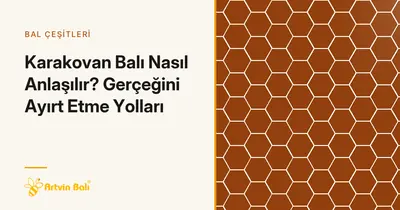 Karakovan Balı Nasıl Anlaşılır? Gerçeğini Ayırt Etme Yolları