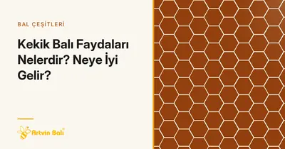 Kekik Balı Faydaları Nelerdir? Neye İyi Gelir?