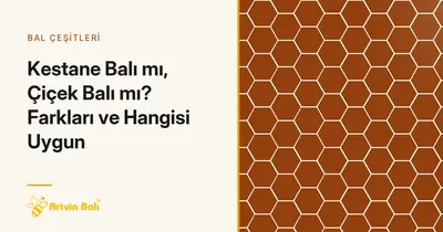 Kestane Balı mı, Çiçek Balı mı? Farkları ve Hangisi Uygun