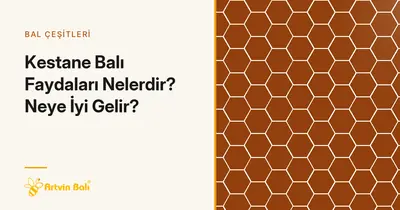 Kestane Balı Faydaları Nelerdir? Neye İyi Gelir?