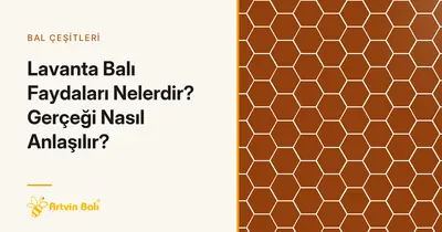 Lavanta Balı Faydaları Nelerdir? Gerçeği Nasıl Anlaşılır?