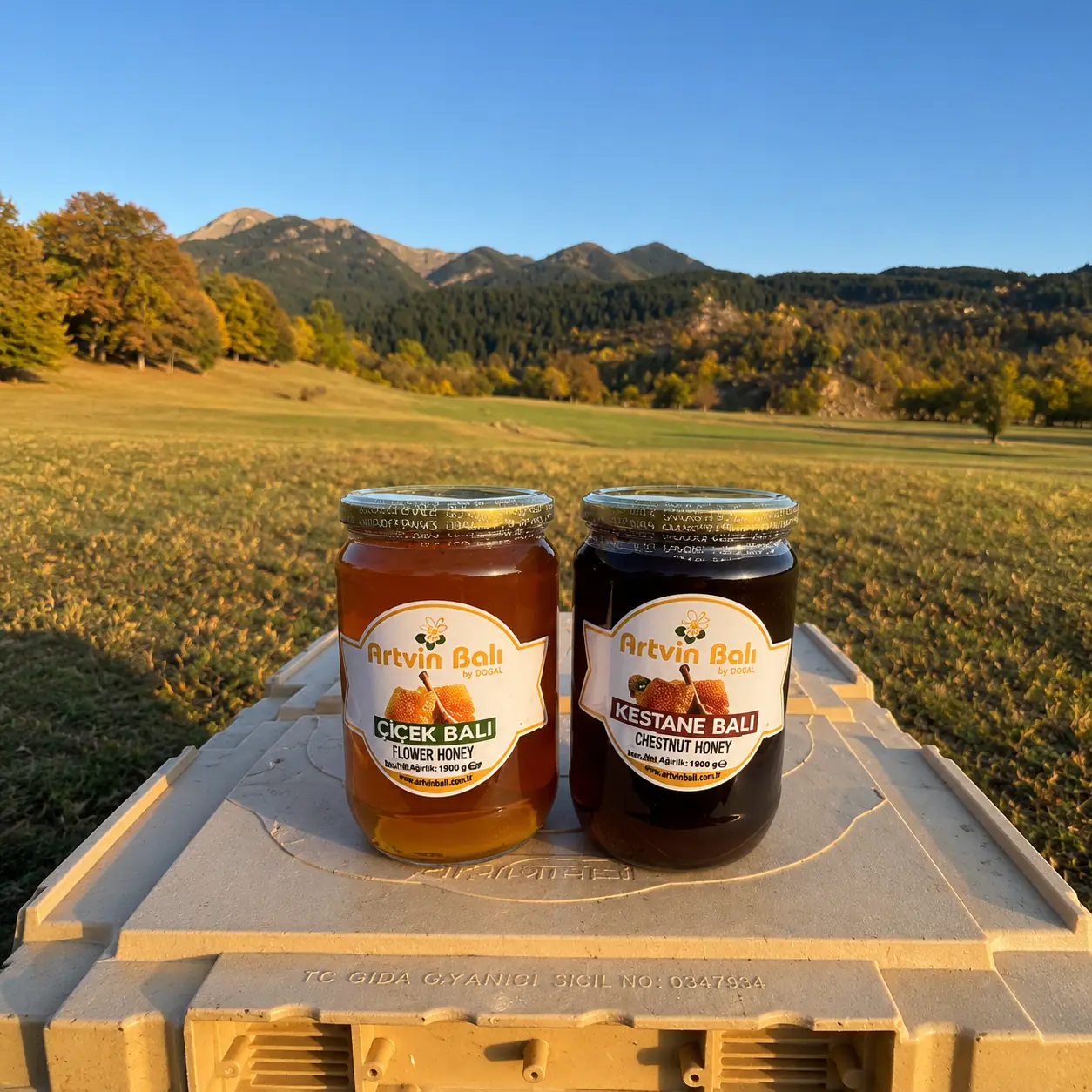 Family-Size Chestnut Honey 1900 g