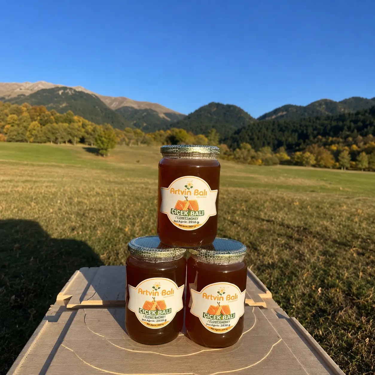 Bal Sever - Yayla Balı 2850 gr