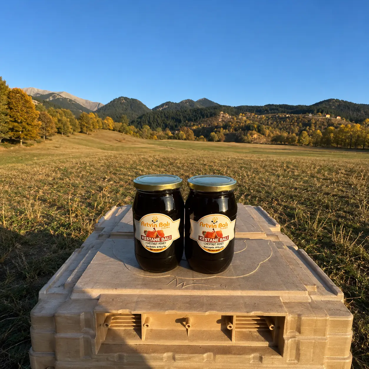 Gift Chestnut Honey 970 g