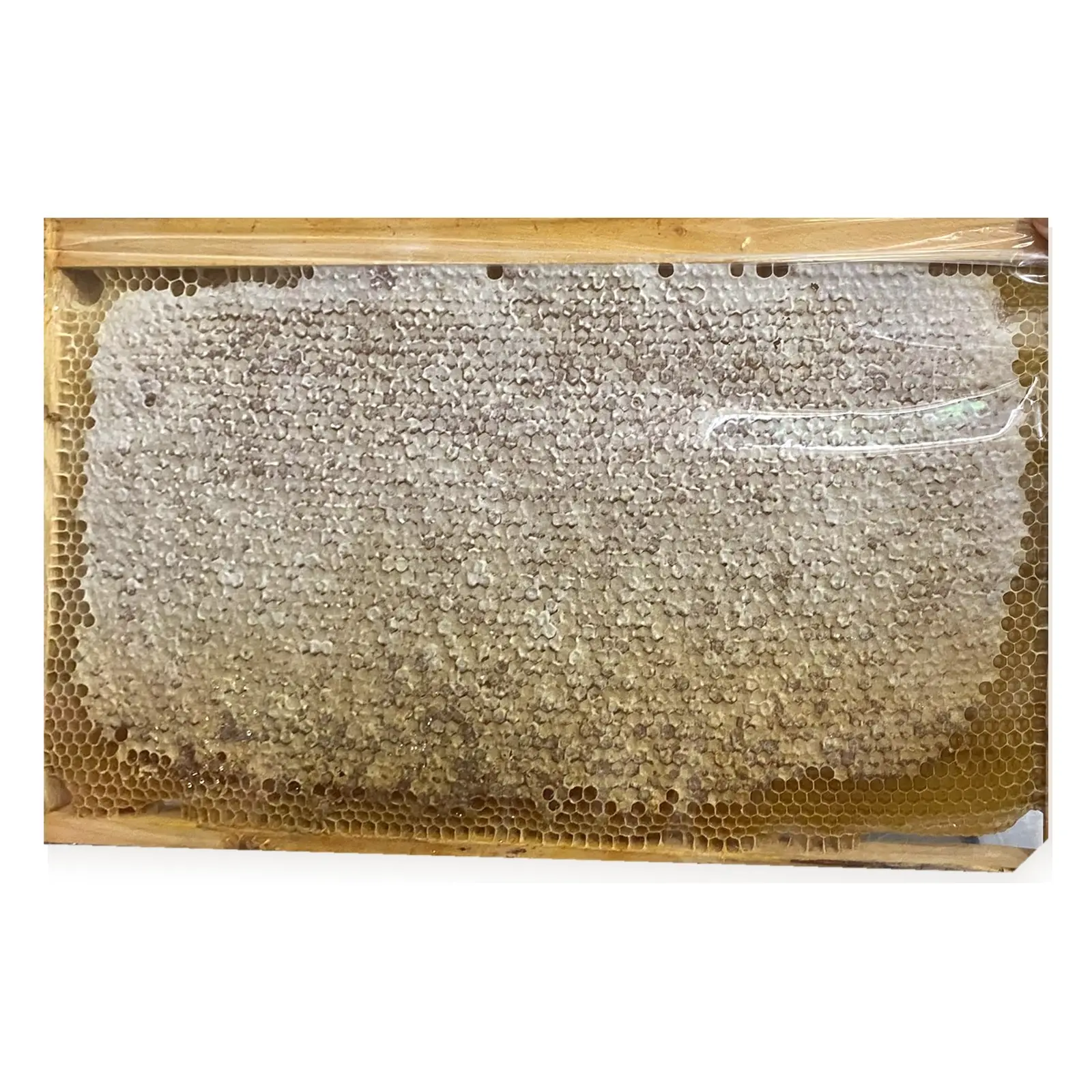 Comb Honey 3000 g